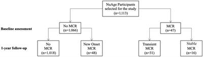 New onset, transient and stable motoric cognitive risk syndrome: Clinical characteristics and association with incidence of probable dementia in the NuAge cohort